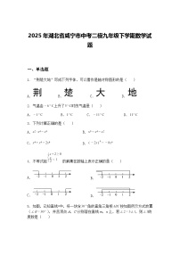 2025年湖北省咸宁市中考二模九年级下学期数学试题（含答案解析）
