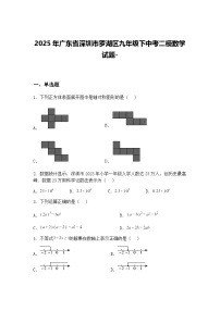 2025年广东省深圳市罗湖区九年级下中考二模数学试题-（含答案解析）