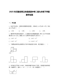 2025年河南省周口市鹿邑县中考二模九年级下学期数学试题（含答案解析）