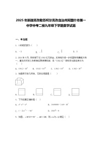 2025年新疆克孜勒苏柯尔克孜自治州阿图什市第一中学中考二模九年级下学期数学试题（含答案解析）