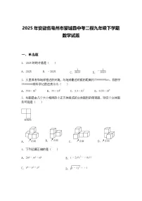 2025年安徽省亳州市蒙城县中考二模九年级下学期数学试题（含答案解析）