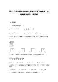 2025年山东省枣庄市台儿庄区九年级下中考第二次调研考试数学二模试卷（含答案解析）
