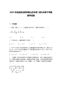 2025年安徽省合肥市蜀山区中考二模九年级下学期数学试题（含答案解析）