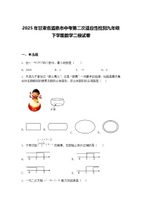 2025年甘肃省酒泉市中考第二次适应性检测九年级下学期数学二模试卷（含答案解析）