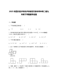 2025年四川省泸州市泸州老窖天府中学中考二模九年级下学期数学试题（含答案解析）