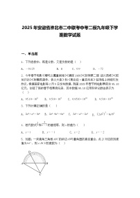 2025年安徽省淮北市二中联考中考二模九年级下学期数学试题（含答案解析）
