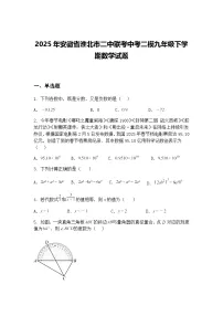 2025年安徽省淮北市二中联考中考二模九年级下学期数学试题（含答案解析）