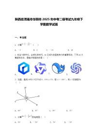陕西省渭南市华阴市2025年中考二模考试九年级下学期数学试题（含答案解析）