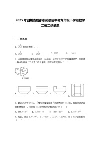 2025年四川省成都市武侯区中考九年级下学期数学二模二诊试题（含答案解析）