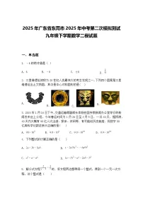 2025年广东省东莞市2025年中考第二次模拟测试九年级下学期数学二模试题（含答案解析）