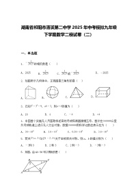 湖南省祁阳市浯溪第二中学2025年中考模拟九年级下学期数学二模试卷（二）（含答案解析）