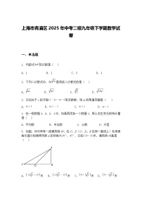 上海市青浦区2025年中考二模九年级下学期数学试卷（含答案解析）