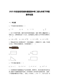2025年安徽省芜湖市南陵县中考二模九年级下学期数学试题（含答案解析）