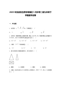 2025年安徽省合肥市瑶海区5月中考二模九年级下学期数学试卷（含答案解析）
