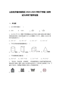 山东省济南市莱芜区2024-2025学年下学期二模考试九年级下数学试题（含答案解析）