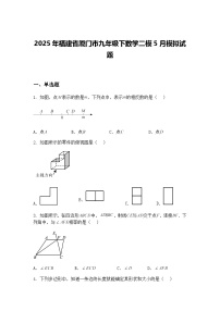 2025年福建省厦门市九年级下数学二模5月模拟试题（含答案解析）