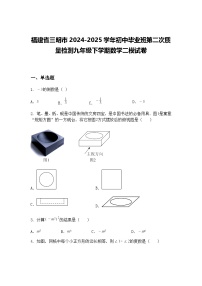 福建省三明市2024-2025学年初中毕业班第二次质量检测九年级下学期数学二模试卷（含答案解析）