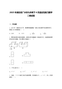2025年湖北省广水市九年级下4月适应性练习数学二模试题（含答案解析）