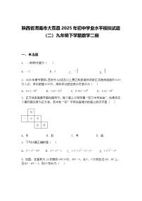 陕西省渭南市大荔县2025年初中学业水平模拟试题（二）九年级下学期数学二模（含答案解析）