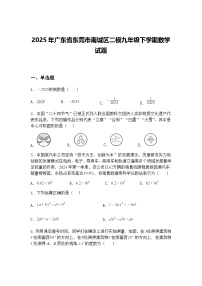 2025年广东省东莞市南城区二模九年级下学期数学试题（含答案解析）