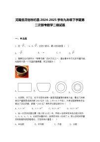 河南省开封市杞县2024-2025学年九年级下学期第二次联考数学二模试题（含答案解析）