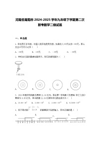 河南省南阳市2024-2025学年九年级下学期第二次联考数学二模试题（含答案解析）