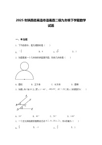 2025年陕西省商洛市洛南县二模九年级下学期数学试题（含答案解析）