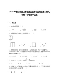 2025年浙江省舟山市定海区金衢山五校联考二模九年级下学期数学试题（含答案解析）