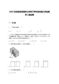 2025年安徽省芜湖市九年级下学科综合能力评估数学二模试卷（含答案解析）
