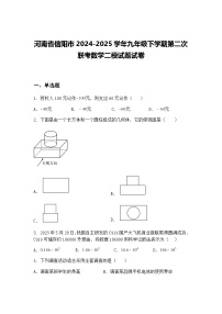 河南省信阳市2024-2025学年九年级下学期第二次联考数学二模试题试卷（含答案解析）