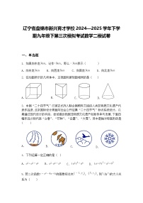 辽宁省盘锦市新兴育才学校2024—2025学年下学期九年级下第三次模拟考试数学二模试卷（含答案解析）