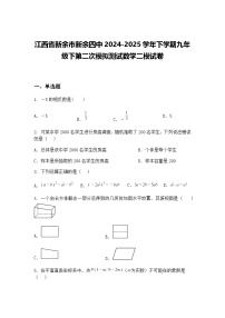 江西省新余市新余四中2024-2025学年下学期九年级下第二次模拟测试数学二模试卷（含答案解析）