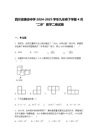 四川省雅安中学2024-2025学年九年级下学期4月“二诊”数学二模试题（含答案解析）