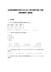 山东省济南育才中学2025年3月九年级下第二次模拟考试数学二模试题（含答案解析）