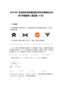 2025年广东省深圳市罗湖区部分学校中考模拟九年级下学期数学二模试卷（4月）（含答案解析）