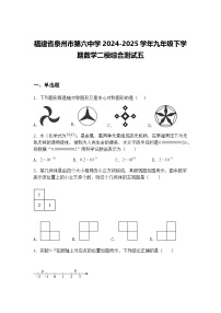 福建省泉州市第六中学2024-2025学年九年级下学期数学二模综合测试五（含答案解析）