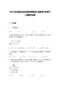 2025年内蒙古自治区锡林郭勒盟三县联考九年级下二模数学试题（含答案解析）