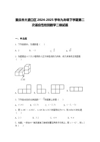 重庆市大渡口区2024-2025学年九年级下学期第二次适应性检测数学二模试题（含答案解析）