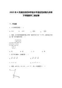2025年4月湖北省初中学业水平适应性训练九年级下学期数学二模试卷（含答案解析）
