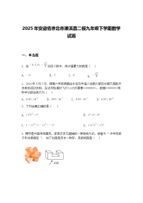 2025年安徽省淮北市濉溪县二模九年级下学期数学试题（含答案解析）
