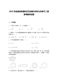 2025年安徽省芜湖市无为市部分学校九年级下二模联考数学试题（含答案解析）