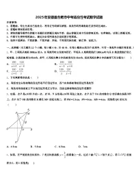 2025年安徽省合肥市中考适应性考试数学试题含解析