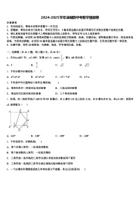 2024-2025学年徐闻县中考数学猜题卷含解析