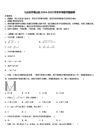 七台河市桃山区2024-2025学年中考数学猜题卷含解析