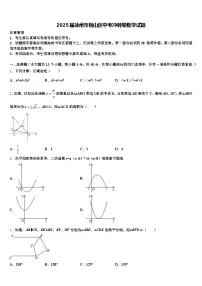 2025届徐州市铜山区中考冲刺卷数学试题含解析