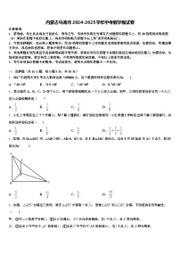 内蒙古乌海市2024-2025学年中考数学模试卷含解析