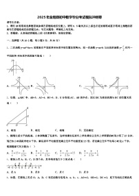 2025年金阳县初中数学毕业考试模拟冲刺卷含解析