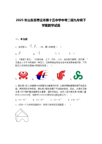 2025年山东省枣庄市第十五中学中考二模九年级下学期数学试题（含答案解析）