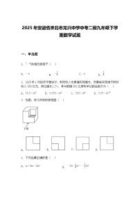 2025年安徽省淮北市龙兴中学中考二模九年级下学期数学试题（含答案解析）