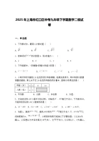 2025年上海市虹口区中考九年级下学期数学二模试卷（含答案解析）